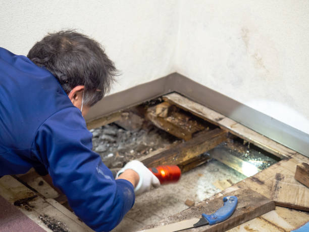 Best Mold Testing  in Covgton, IN