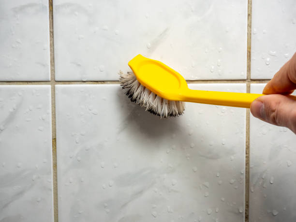 Reliable Covington, IN Mold Removal Solutions