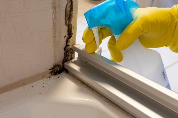 Best Toxic Mold Removal  in Covgton, IN
