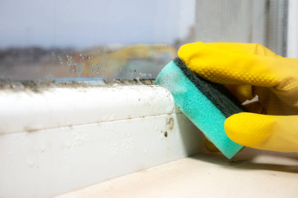 Water Damage Restoration in Covington, IN